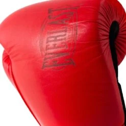 Everlast 1910 Classic Training Boxing Glove - MMA Factory -Sports - Boxing 1910 BG velcro 6 pdf
