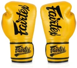Fairtex BGV18 Boxing Gloves - MMA Factory 11 Fairtex BGV18 Boxing Gloves - MMA Factory -Sports - Boxing 91iachw0hjl 1024x1024 1