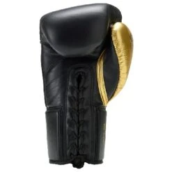 Evolution Lace Up Boxing Gloves - MMA Factory -Sports - Boxing Evolution BG Lace 2 1 pdf