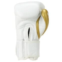 Evolution Boxing Gloves - Velcro - MMA Factory -Sports - Boxing Evolution BG Velcro 3 pdf