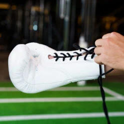 Viking ProX Pro Horse Hair Fight Glove (Lace Up) - MMA Factory -Sports - Boxing Viking ProX Gloves 1000 12