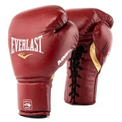Everlast Mx2 Training Glove - Lace - MMA Factory