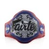 Fairtex Triple Champ Microfiber Belly Pad - BPV3 - MMA Factory 1 Fairtex Triple Champ Microfiber Belly Pad - BPV3 - MMA Factory -Sports - Boxing ad0cfb299c7fe92e0668b98f7461649a24d5b3bf