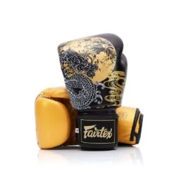 Fairtex Harmony Six Boxing Gloves -Bgv26 - MMA Factory