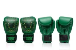 Fairtex Resurrection Boxing Gloves - MMA Factory -Sports - Boxing fairtex aztec gods gloves 06 1 1