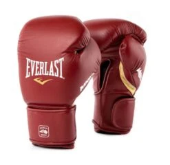 Everlast MX2 Training Glove - Velcro - MMA Factory