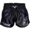 Viking Stripe Muay Thai Shorts - MMA Factory 1 Viking Stripe Muay Thai Shorts - MMA Factory -Sports - Boxing stripshorts pdf