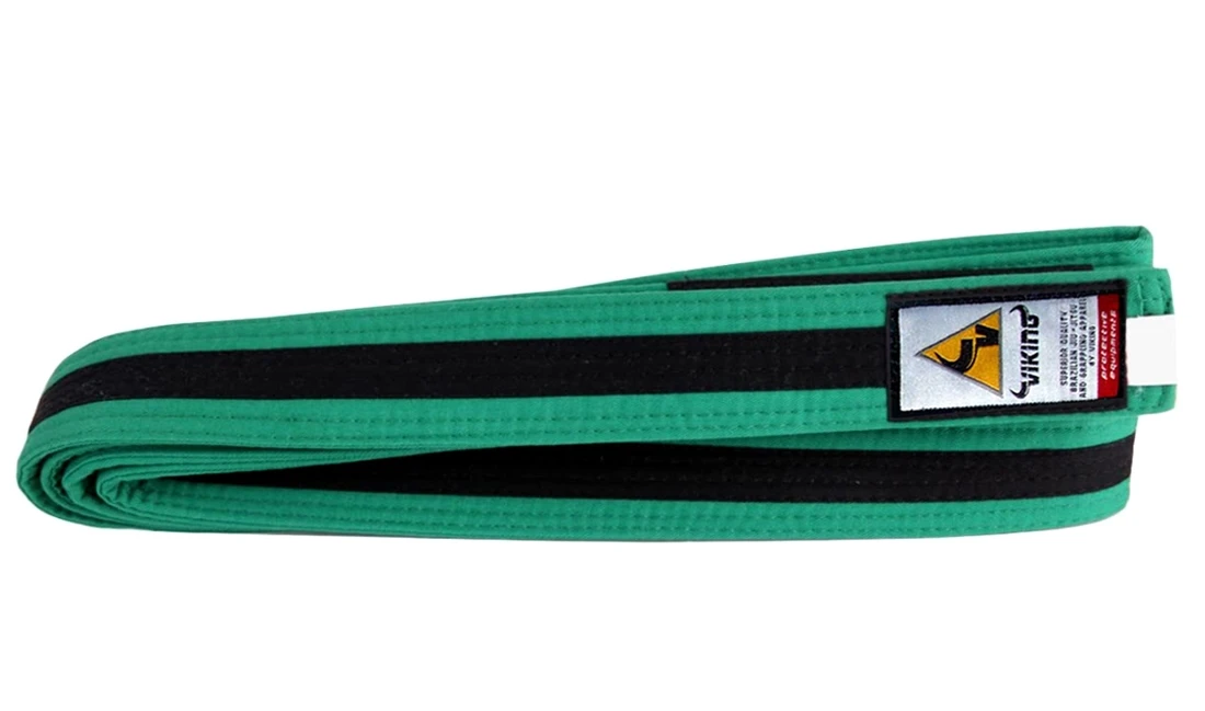 Viking Kids Ranked BJJ Belts - MMA Factory 6 Viking Kids Ranked BJJ Belts - MMA Factory - Image 4