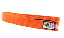 Viking Kids Ranked BJJ Belts - MMA Factory 23 Viking Kids Ranked BJJ Belts - MMA Factory -Sports - Boxing viking kids side orange