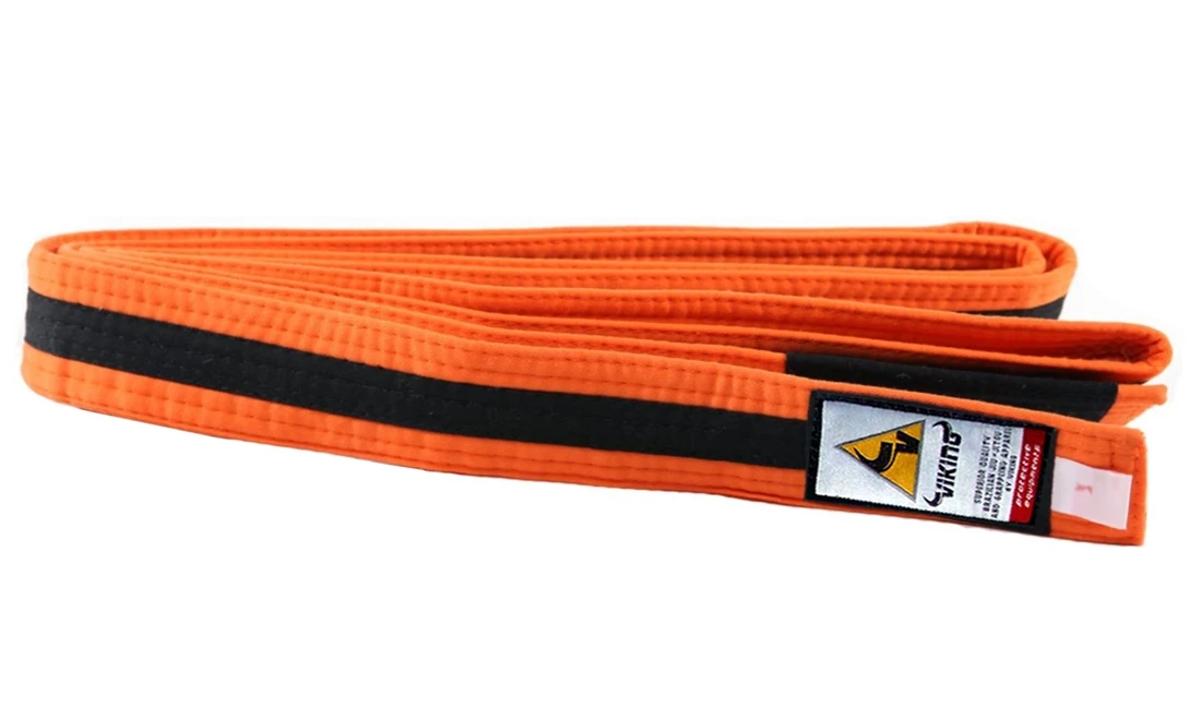 Viking Kids Ranked BJJ Belts - MMA Factory 12 Viking Kids Ranked BJJ Belts - MMA Factory - Image 10