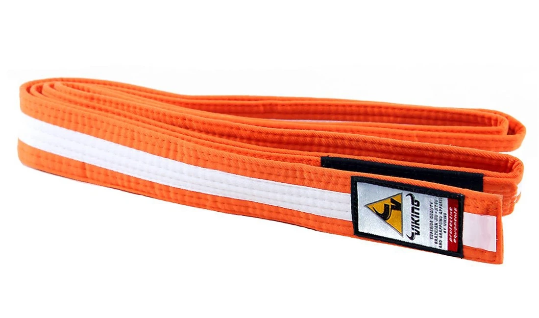Viking Kids Ranked BJJ Belts - MMA Factory 11 Viking Kids Ranked BJJ Belts - MMA Factory - Image 9