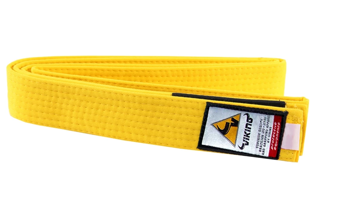 Viking Kids Ranked BJJ Belts - MMA Factory 13 Viking Kids Ranked BJJ Belts - MMA Factory - Image 11