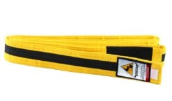 Viking Kids Ranked BJJ Belts - MMA Factory 28 Viking Kids Ranked BJJ Belts - MMA Factory -Sports - Boxing viking kids side yellow black