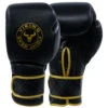 Viking Zeus Boxing Glove - MMA Factory -Sports - Boxing zeus 1000 by 1 1