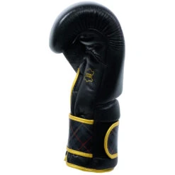 Viking Zeus Boxing Glove - MMA Factory -Sports - Boxing zeus 1000 by 4 1